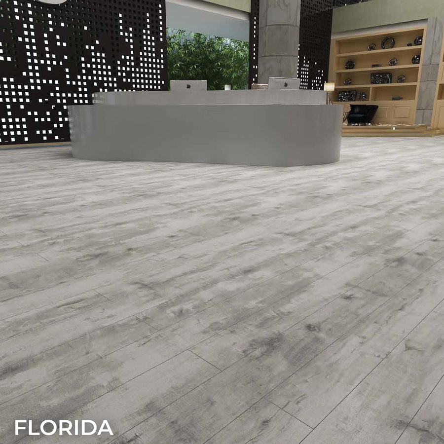 american-collection-photos_FLORIDA