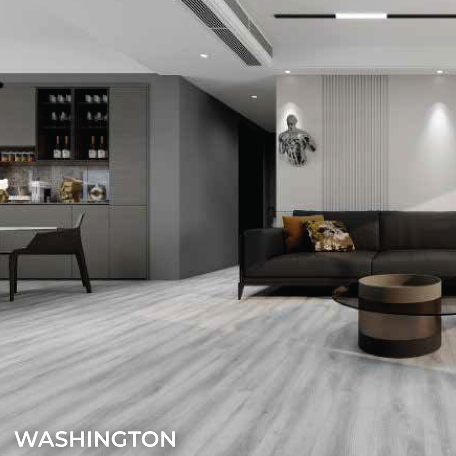 american-collection-photos_WASHINGTON